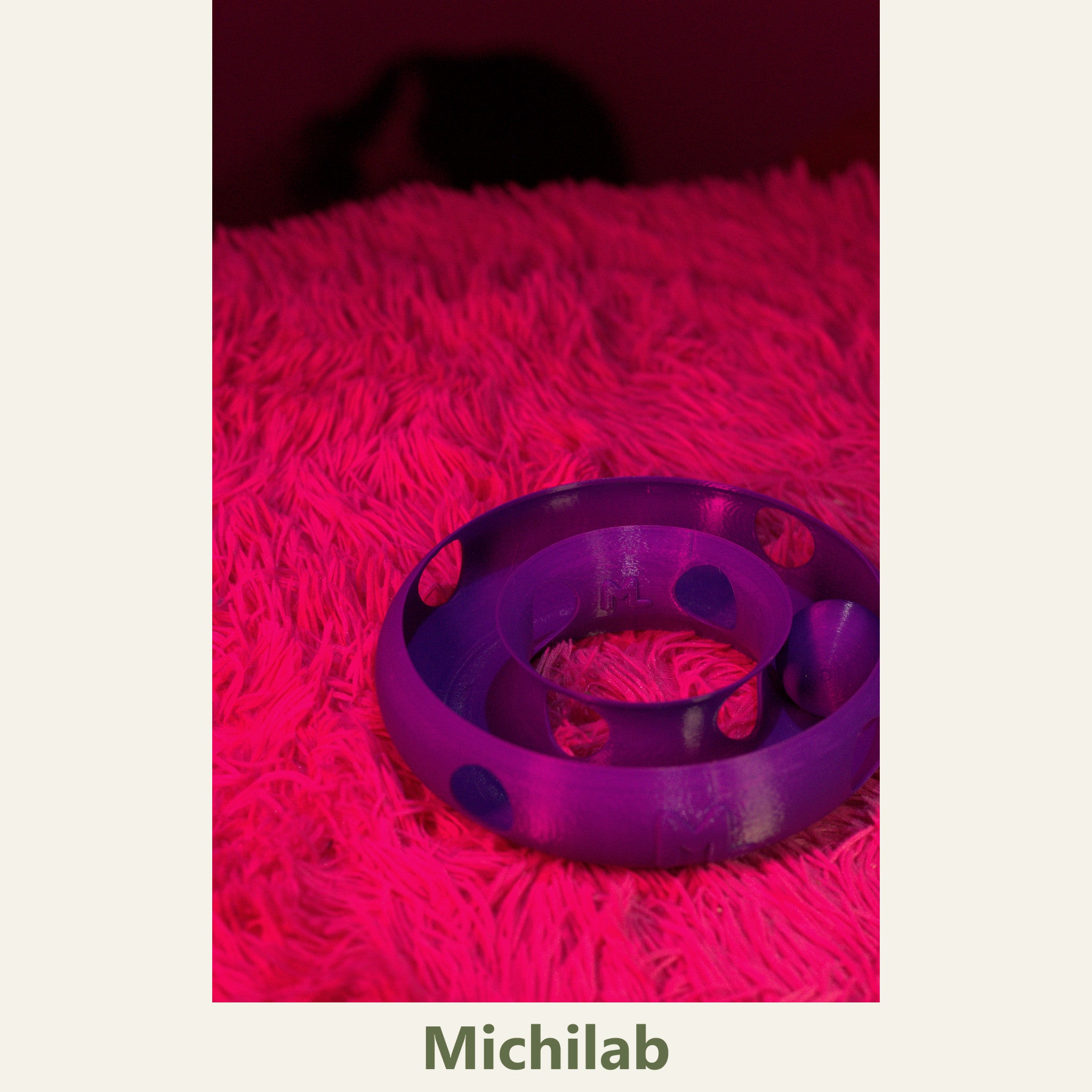 Anillo Dona Michilab — Juguete Interactivo de Pelota Infinita para Gatos