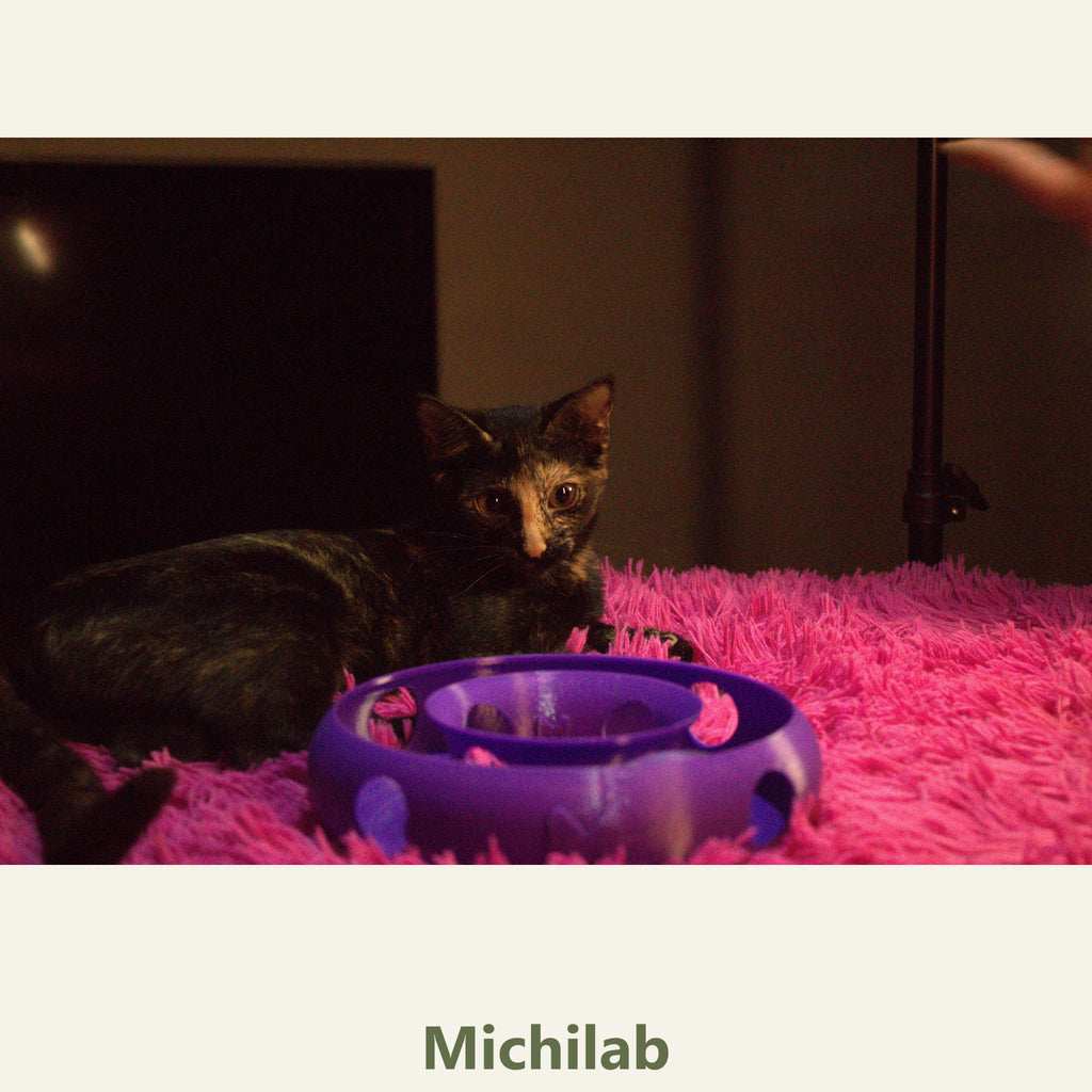 Anillo Dona Michilab — Juguete Interactivo de Pelota Infinita para Gatos