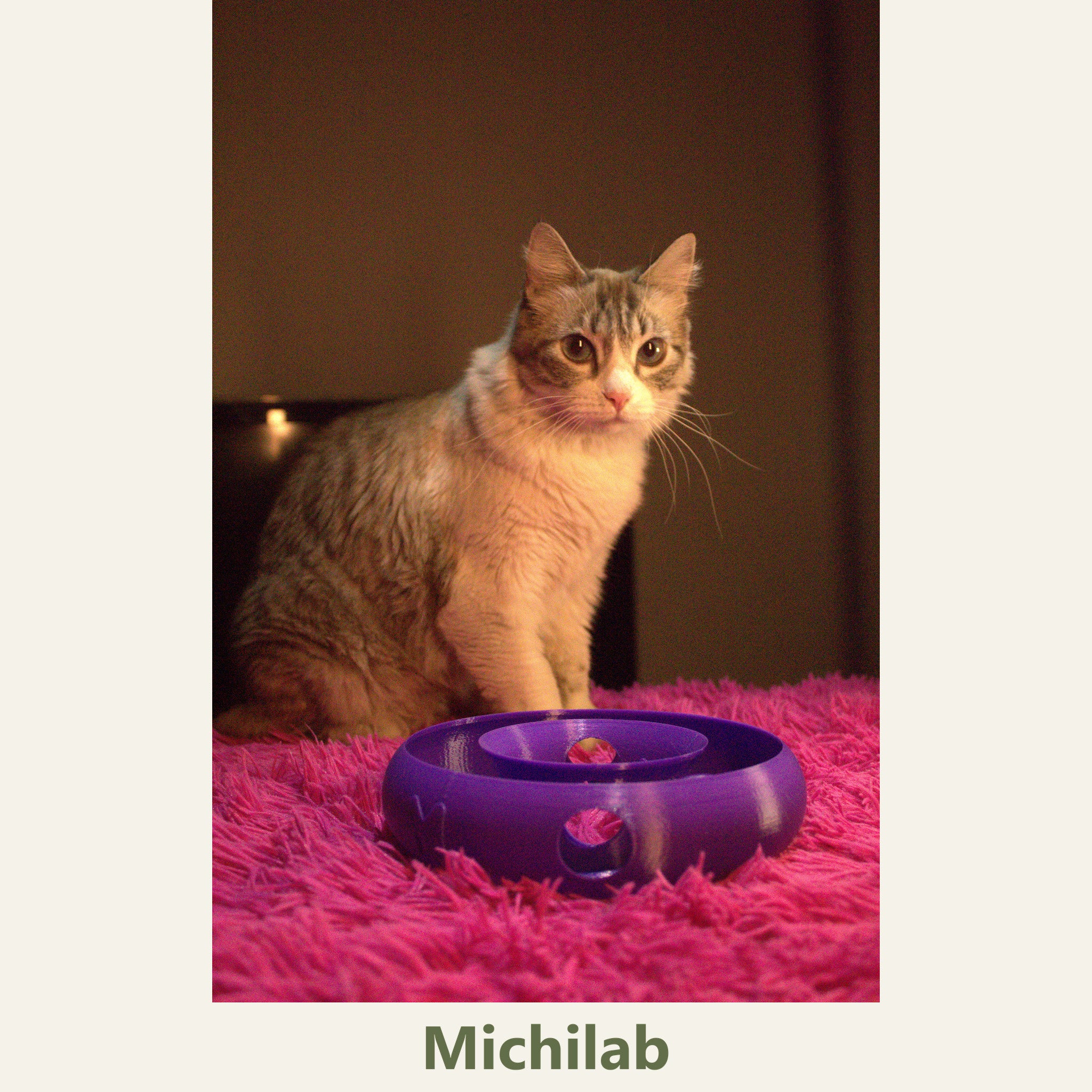 Anillo Dona Michilab — Juguete Interactivo de Pelota Infinita para Gatos