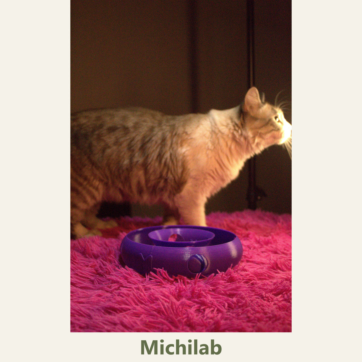 Anillo Dona Michilab — Juguete Interactivo de Pelota Infinita para Gatos