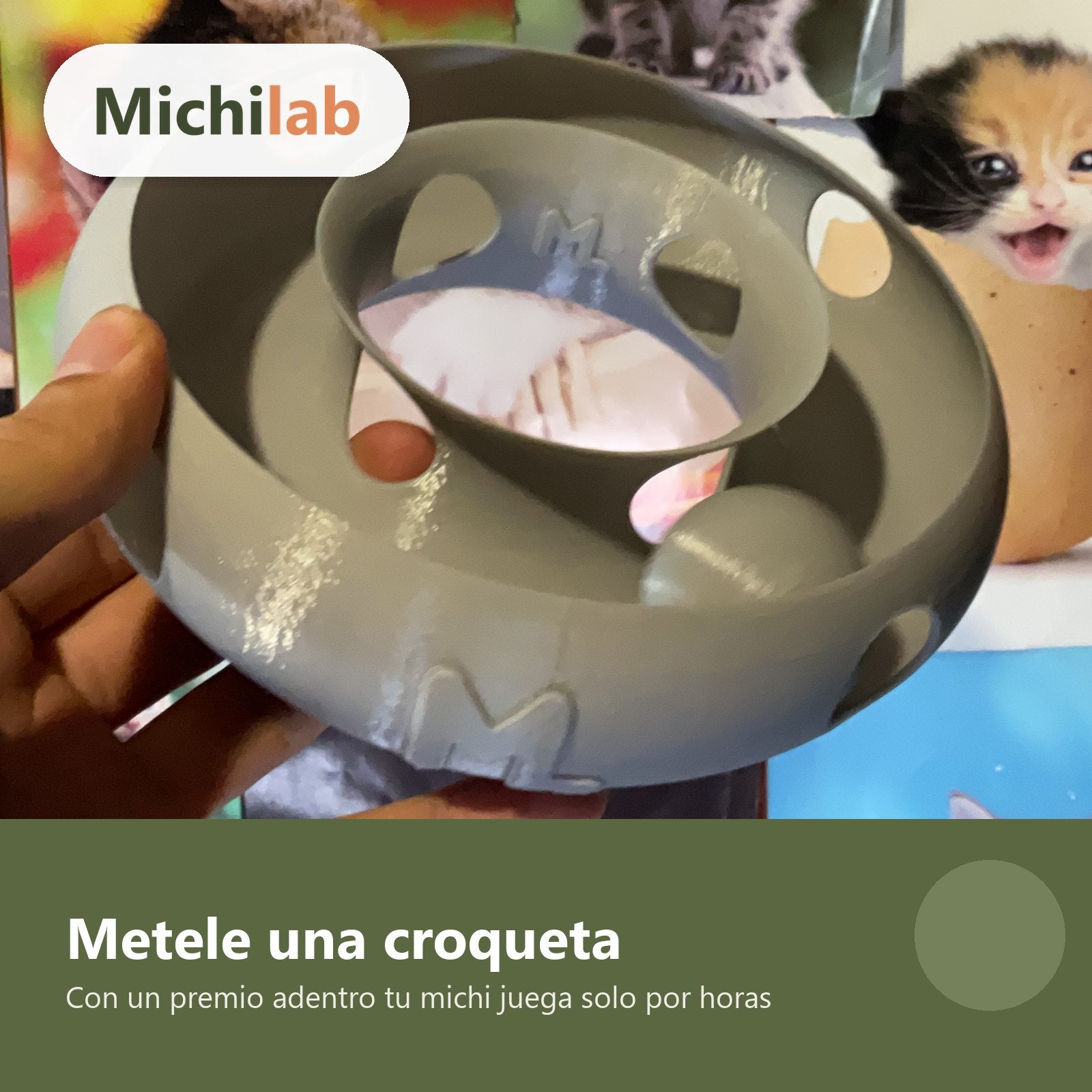 Anillo Dona Michilab — Juguete Interactivo de Pelota Infinita para Gatos