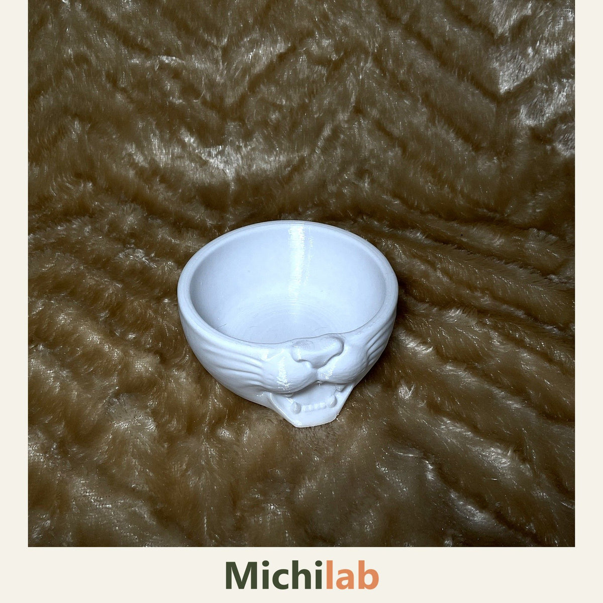 Plato Carita de Michi Michilab, tazón bajo para gato (4)